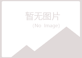 台山男孩会计有限公司